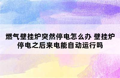 燃气壁挂炉突然停电怎么办 壁挂炉停电之后来电能自动运行吗